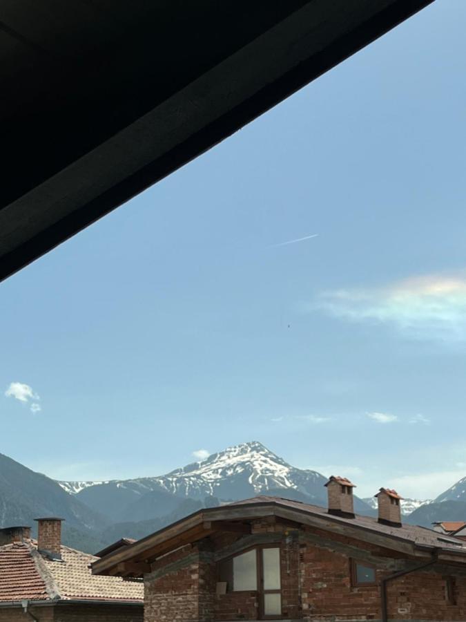Bashtin Dom - Skabrin House Hotel Bansko Exterior photo